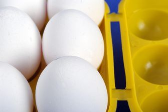 Δοχείο αυγών Coghlans CL 6 αυγά